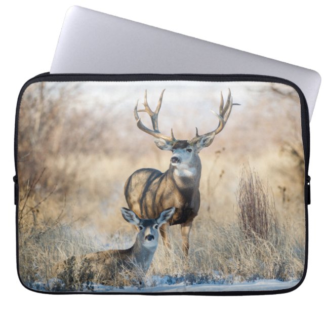 Funda Para Portátil Pareja Buck | Mule Deer (Frente)