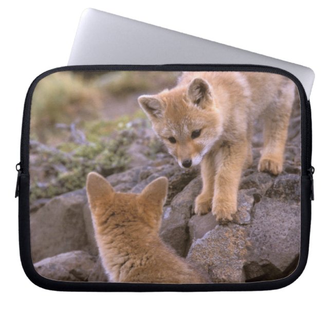 Funda Para Portátil Pareja de Fox gris sudamericana (Lycalopex griseus (Frente)