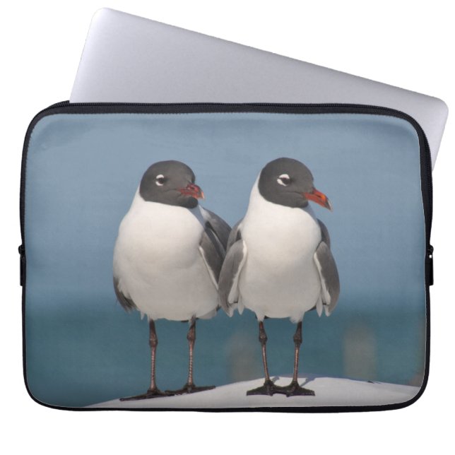 Funda Para Portátil Pareja de gaviotas de cabeza negra (Frente)
