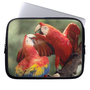 Funda Para Portátil Pareja de guacamayos escarlata