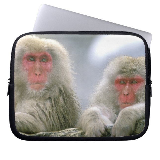 Funda Para Portátil Pareja de mono de nieve, Macaco japonés, (Frente)