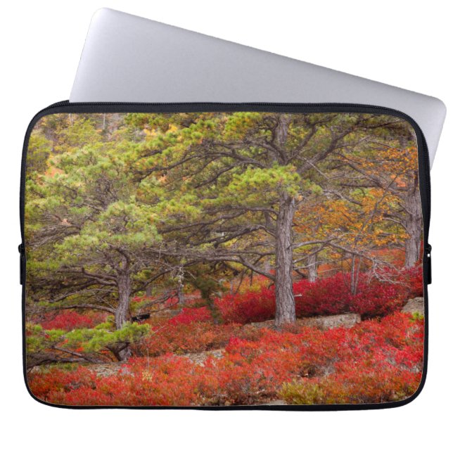 Funda Para Portátil Parque nacional Acadia, Maine (Frente)