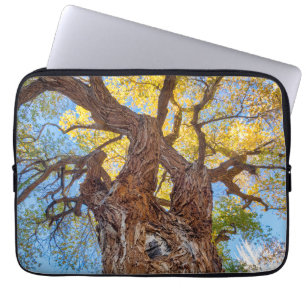 Funda Para Portátil Parque Nacional Capitol Reef, Árbol de Cottonwood