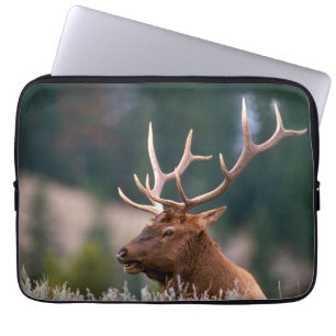 Funda Para Portátil Parque nacional Rocky Mountain Elk Yellowstone
