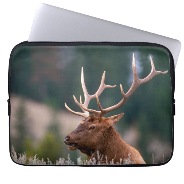 Funda Para Portátil Parque nacional Rocky Mountain Elk Yellowstone (Frente)