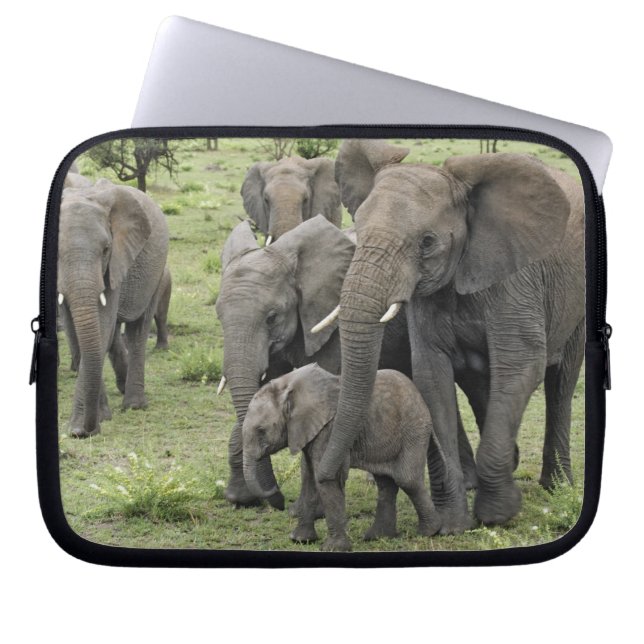 Funda Para Portátil Pastor de elefantes africanos, Loxodonta africana, (Frente)