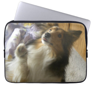 Funda Para Portátil Pastor de Shetland suplicando