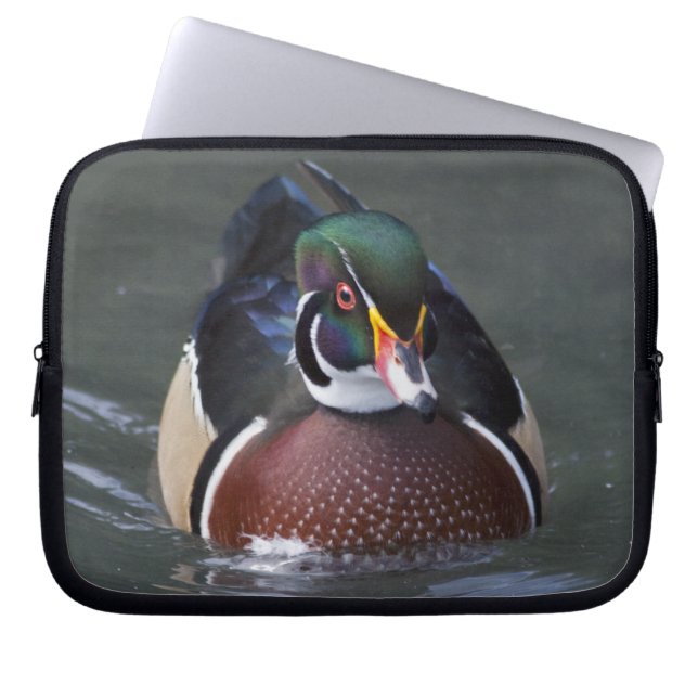 Funda para portátil Pato de Carolina (Frente)