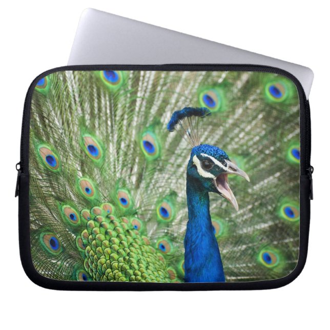 Funda Para Portátil Pavo real de griterío (Frente)