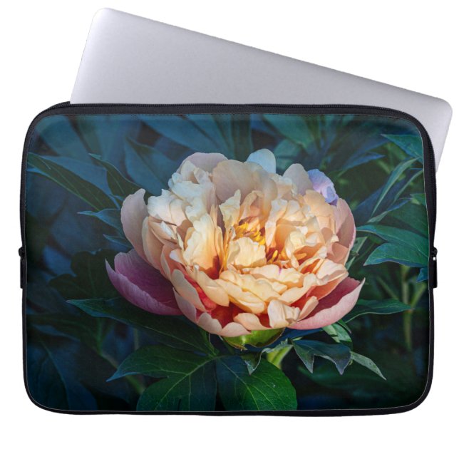 Funda Para Portátil Peach Peony, foto suave de la flor pastel (Frente)