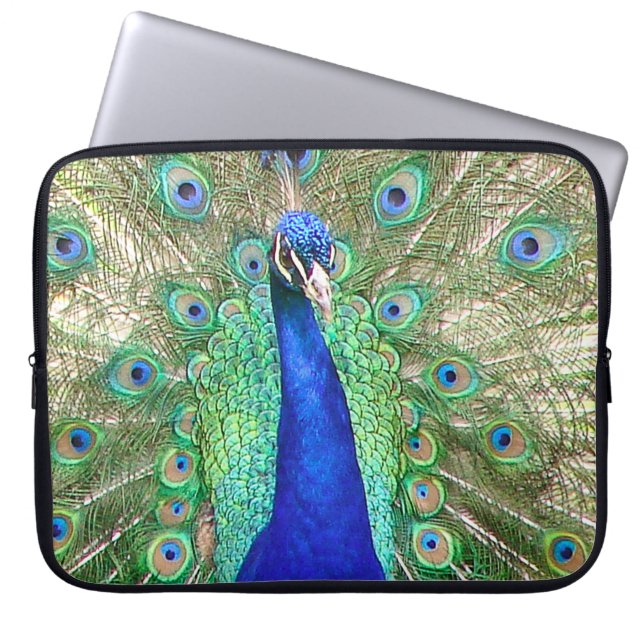 Funda Para Portátil Peacock azul indio (Frente)