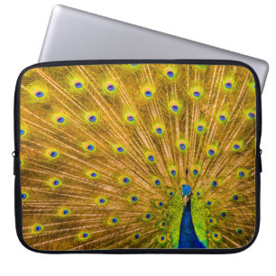 Funda Para Portátil Peacock, cataratas plateadas, Kauai, traje húmedo