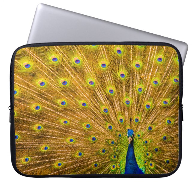 Funda Para Portátil Peacock, cataratas plateadas, Kauai, traje húmedo  (Frente)