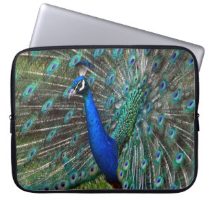 Funda Para Portátil Peacock masculino colorido