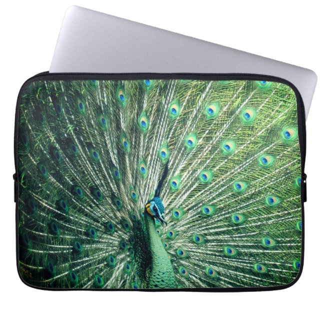 Funda Para Portátil Peacock Strut (Frente)