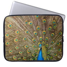 Funda Para Portátil Peacock Tail Feathers