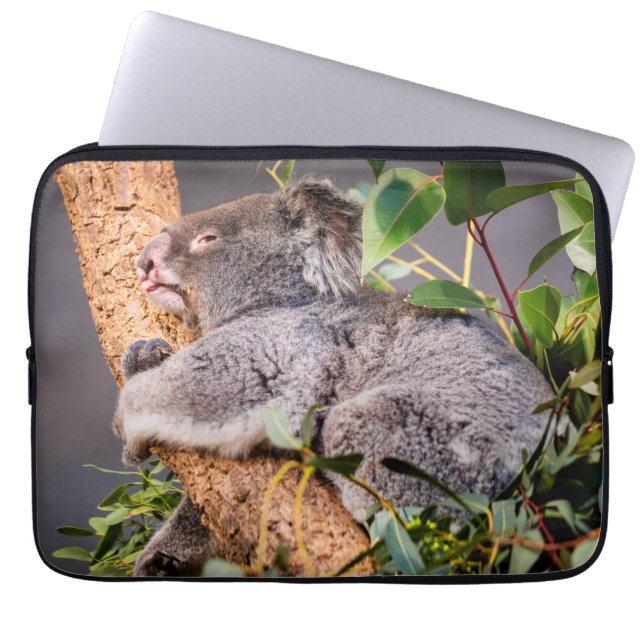 Funda Para Portátil Pequeña koala dulce (Frente)