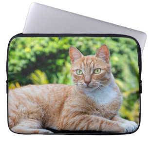 Funda Para Portátil Pequeño gatito dulce