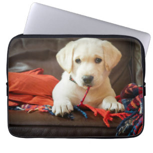 Funda Para Portátil Perrito de las imágenes el de Getty en un sofá