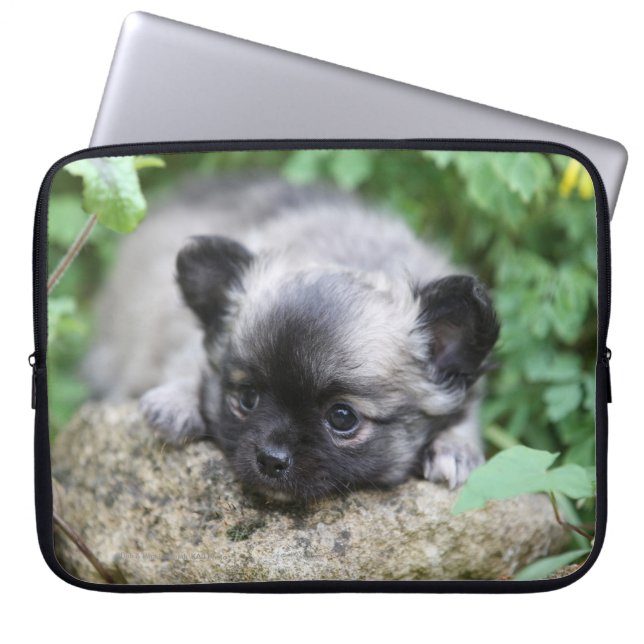 Funda Para Portátil Perrito de pelo largo de la chihuahua (Frente)