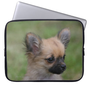 Funda Para Portátil Perrito de pelo largo de la chihuahua que mira la