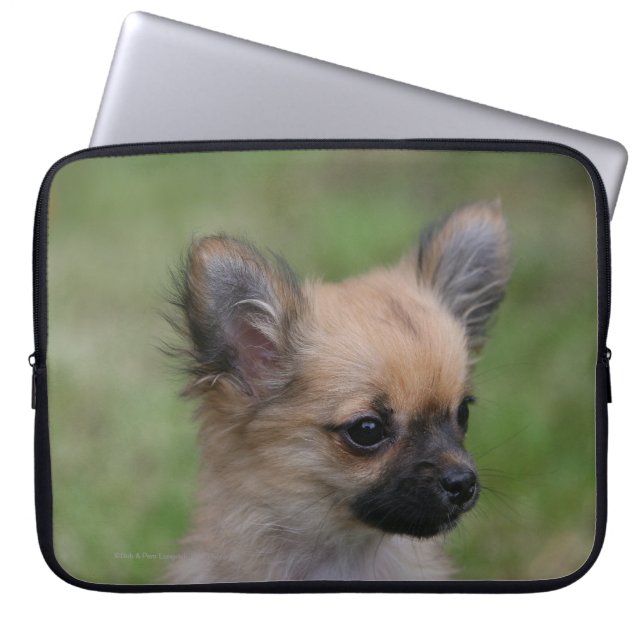 Funda Para Portátil Perrito de pelo largo de la chihuahua que mira la (Frente)