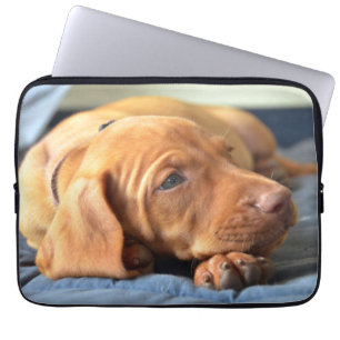 Funda Para Portátil Perrito de Vizsla que descansa sobre su pata