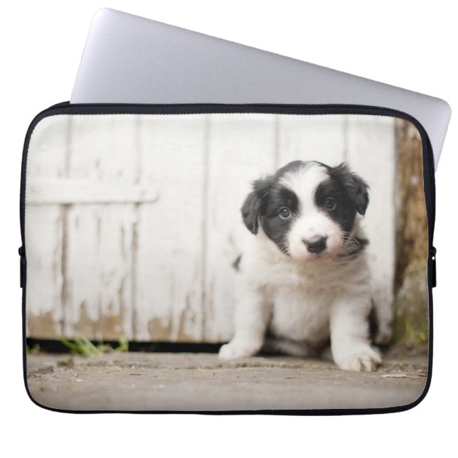Funda Para Portátil Perrito del border collie (Frente)