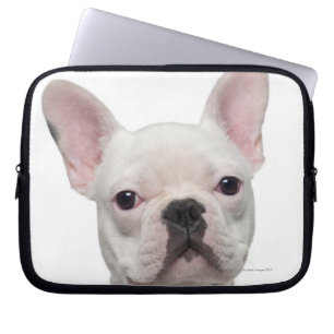 Funda Para Portátil Perrito del bulldog francés (5 meses)