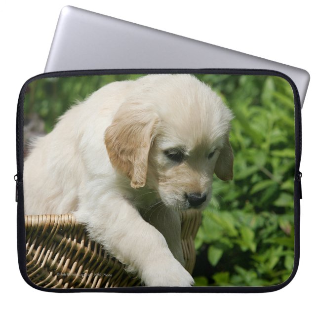 Funda Para Portátil Perrito del golden retriever en cesta (Frente)
