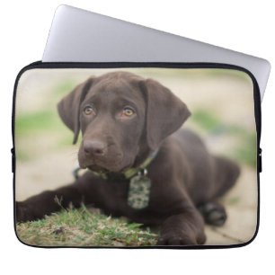 Funda Para Portátil Perrito del laboratorio del chocolate