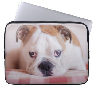 Funda Para Portátil Perrito inglés tímido del bulldog