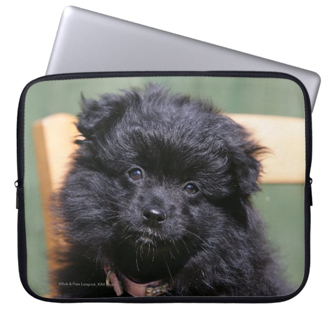 Funda Para Portátil Perrito negro de Pomeranian (Frente)