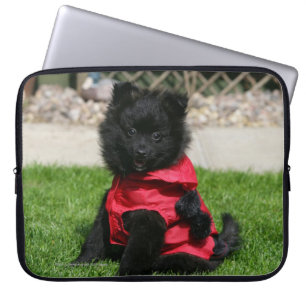 Funda Para Portátil Perrito negro de Pomeranian que mira la cámara