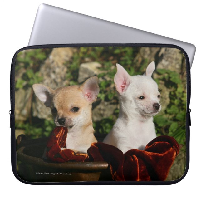 Funda Para Portátil Perritos de la chihuahua (Frente)