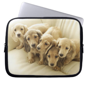 Funda Para Portátil Perritos de la salchicha de Frankfurt