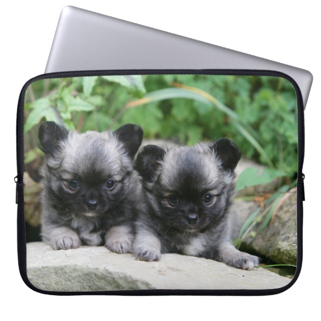 Funda Para Portátil Perritos de pelo largo de la chihuahua (Frente)