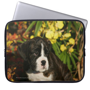 Funda Para Portátil Perritos del boxeador