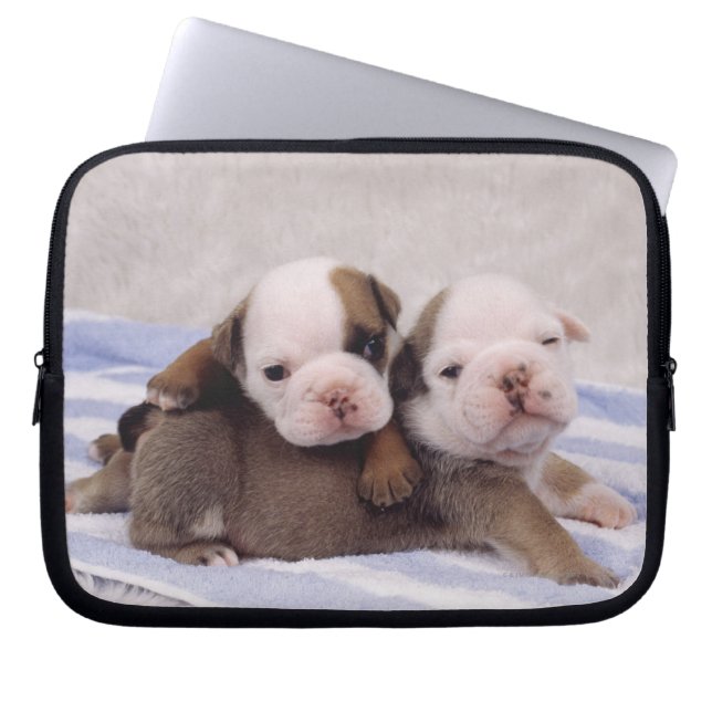 Funda Para Portátil Perritos del bulldog (Frente)
