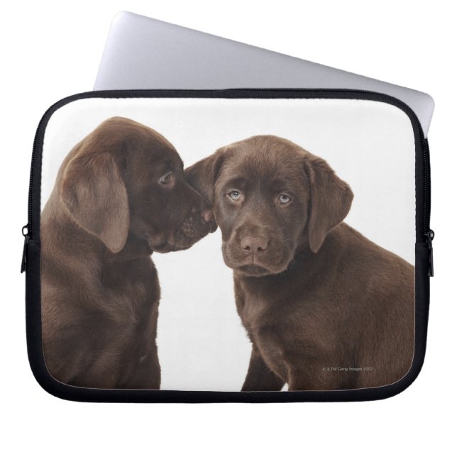 Funda Para Portátil Perritos del labrador retriever del chocolate (Frente)