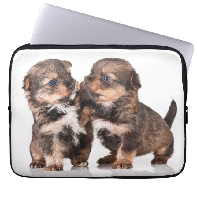 Funda Para Portátil Perritos lindos de Yorkshire Terrier (Frente)