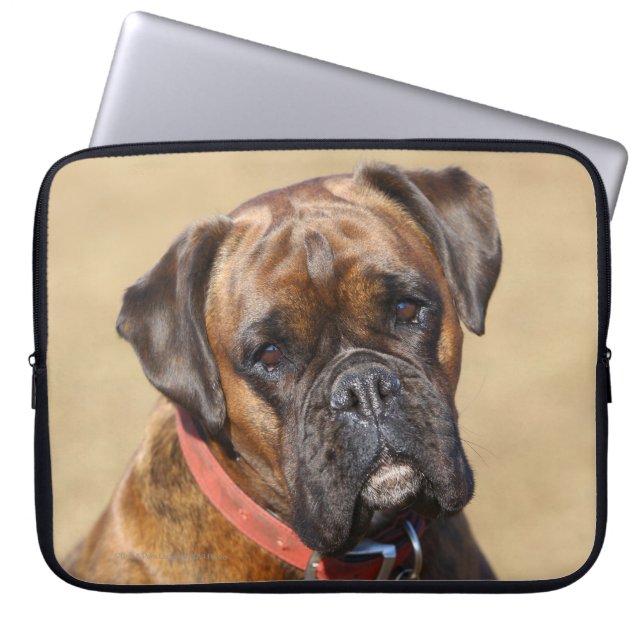 Funda Para Portátil Perro Brindle del boxeador (Frente)