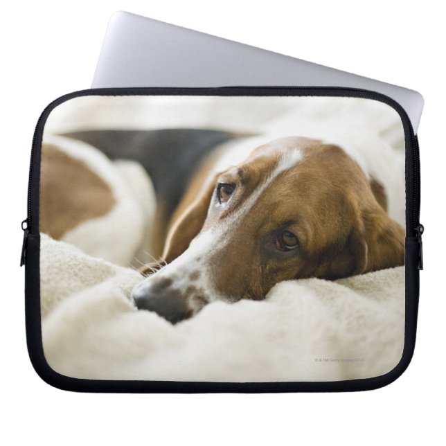 Funda Para Portátil Perro del Bassett (Frente)