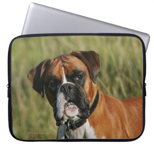 Funda Para Portátil Perro del boxeador que mira fijamente la cámara