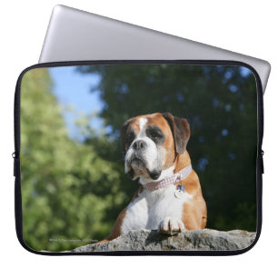 Funda Para Portátil Perro del boxeador que pone en una roca