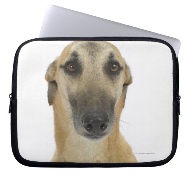 Funda Para Portátil Perro en blanco 41 (Frente)
