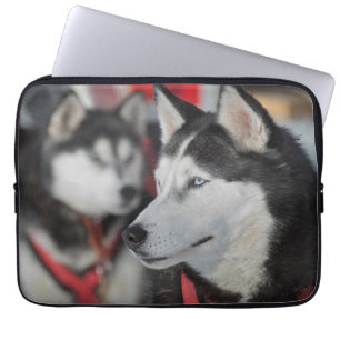 Funda Para Portátil Perro husky antes de una carrera, Canadá