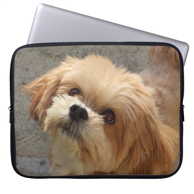 Funda Para Portátil Perro Lhasa Apso en un jardín (Frente)