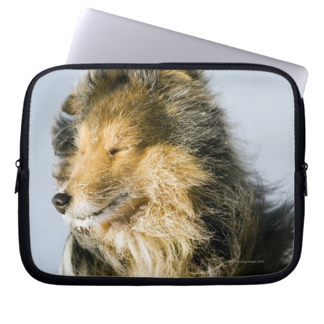 Funda Para Portátil Perro pastor de Shetland (Frente)