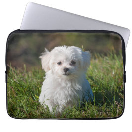Funda Para Portátil Perro picante maltés blanco y esponjoso